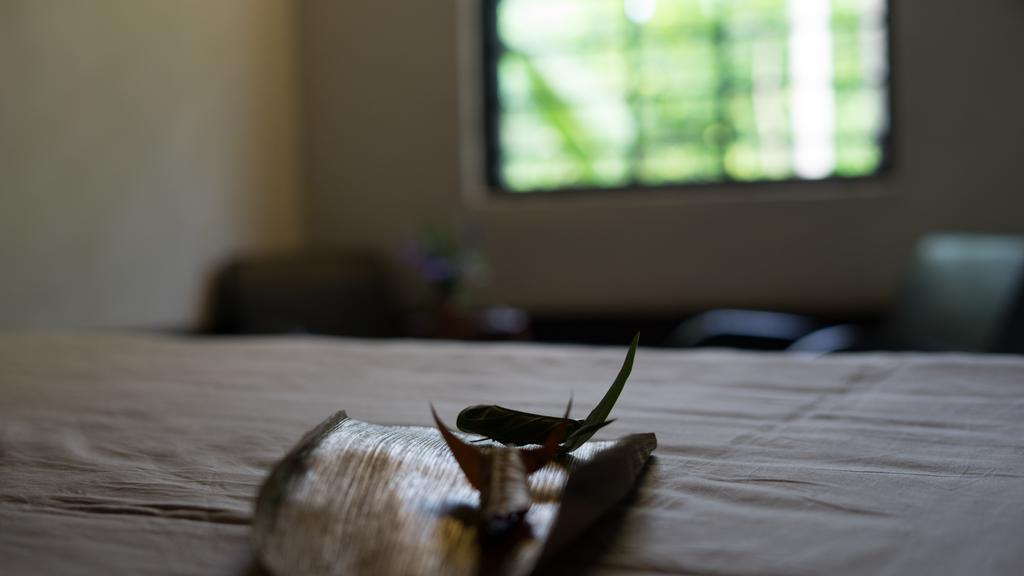 Thuy Bieu Homestay Hue Bagian luar foto