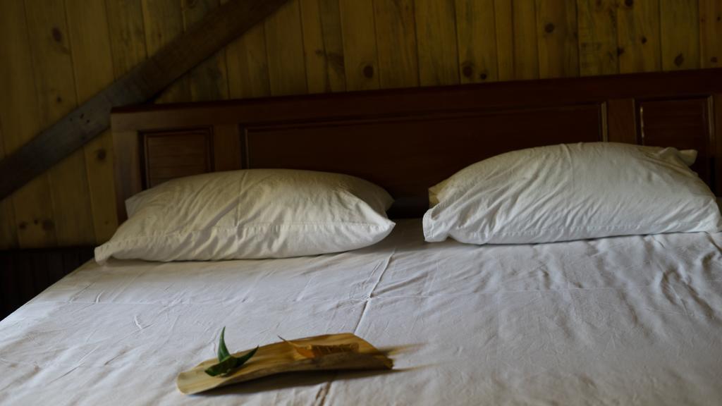 Thuy Bieu Homestay Hue Bagian luar foto