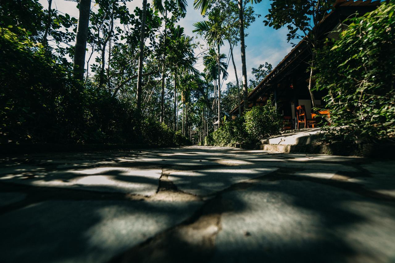 Thuy Bieu Homestay Hue Ruang foto