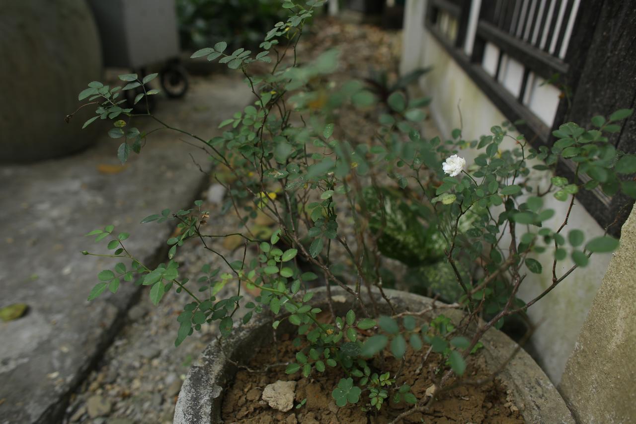 Thuy Bieu Homestay Hue Bagian luar foto
