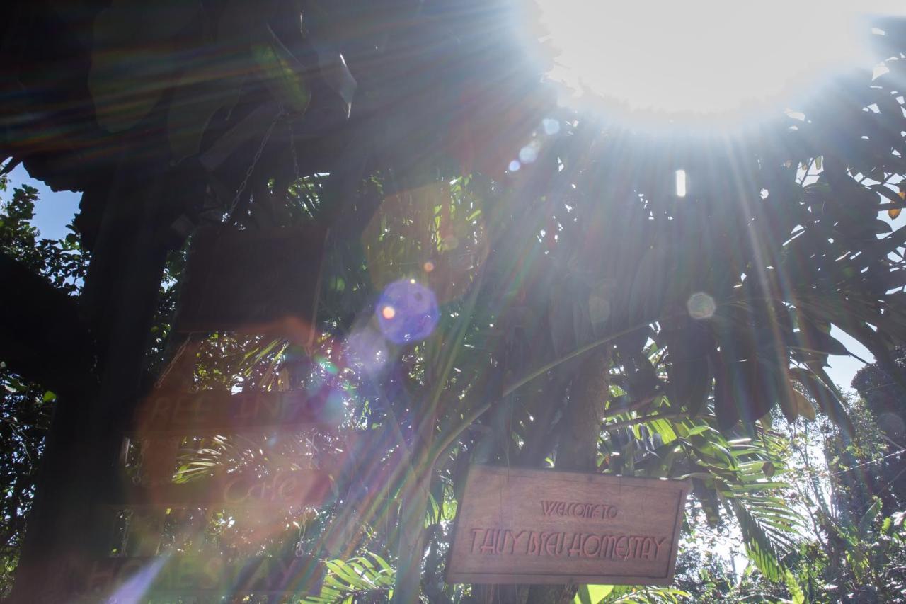 Thuy Bieu Homestay Hue Ruang foto